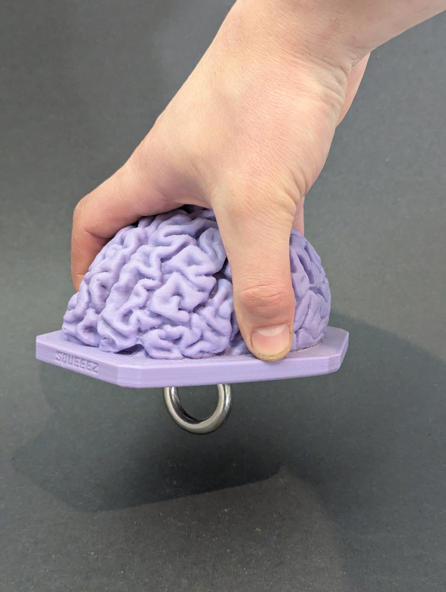 The Brain