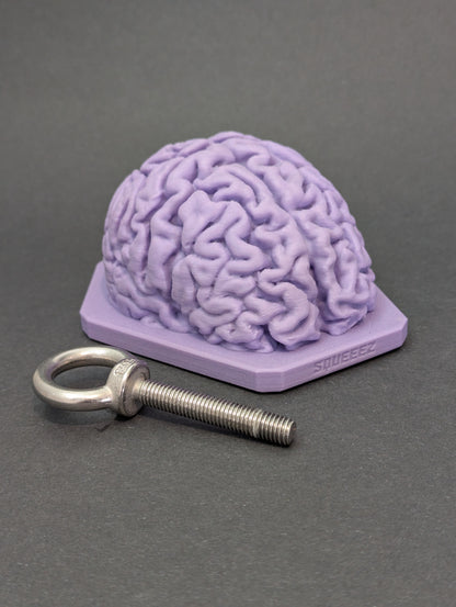 The Brain