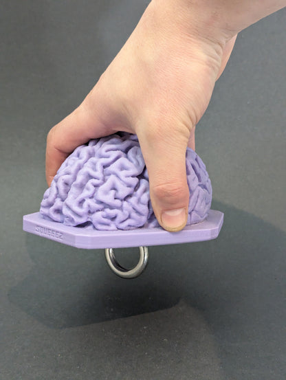 The Brain